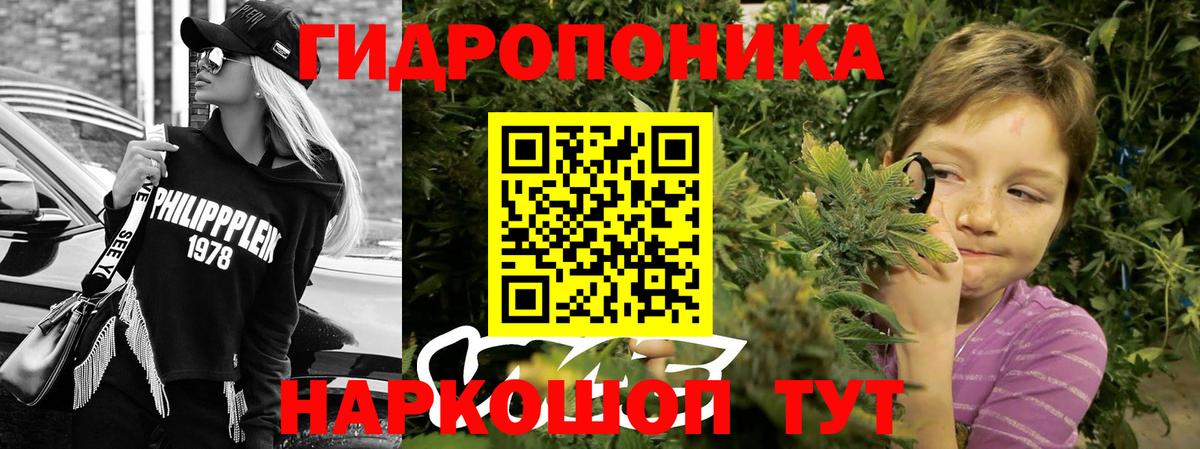 Марихуана сатива Хабаровск